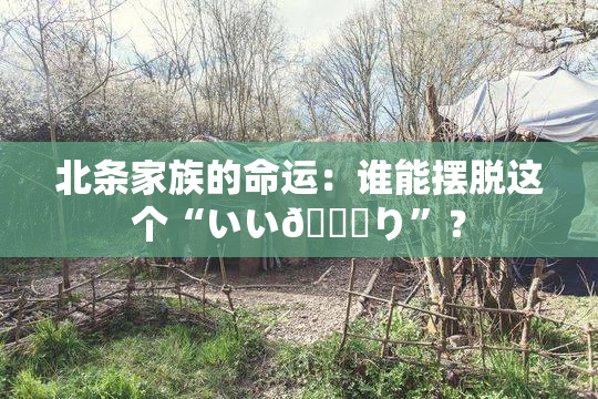 北条家族的命运：谁能摆脱这个“いい🍑り”？