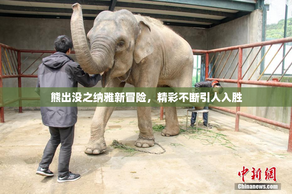 熊出没之纳雅新冒险，精彩不断引人入胜