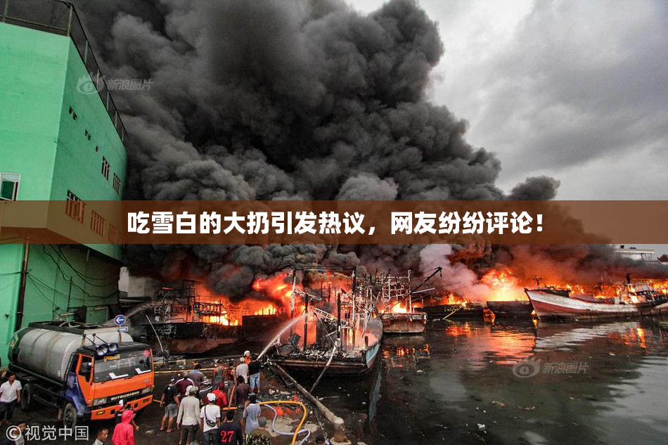 吃雪白的大扔引发热议，网友纷纷评论！