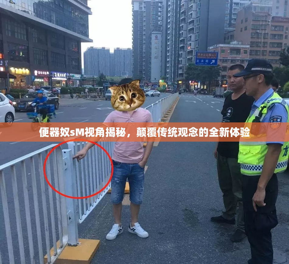便器奴sM视角揭秘，颠覆传统观念的全新体验