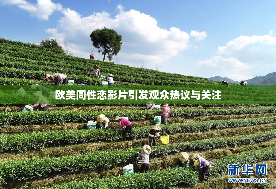 欧美同性恋影片引发观众热议与关注
