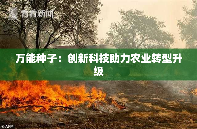 万能种子：创新科技助力农业转型升级