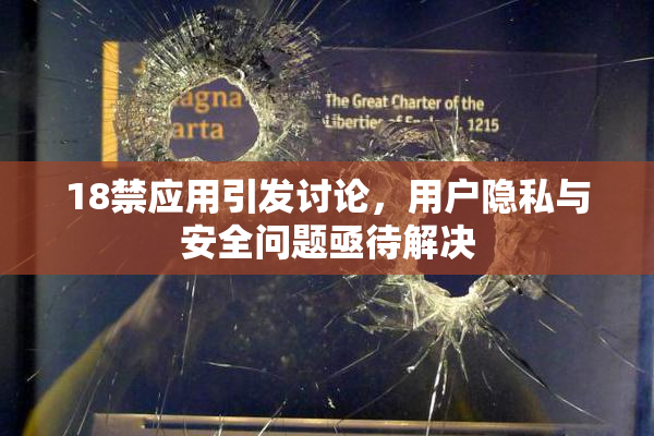 18禁应用引发讨论，用户隐私与安全问题亟待解决