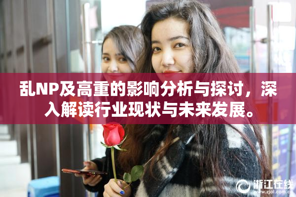 乱NP及高重的影响分析与探讨，深入解读行业现状与未来发展。