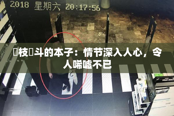 狛枝凪斗的本子：情节深入人心，令人唏嘘不已