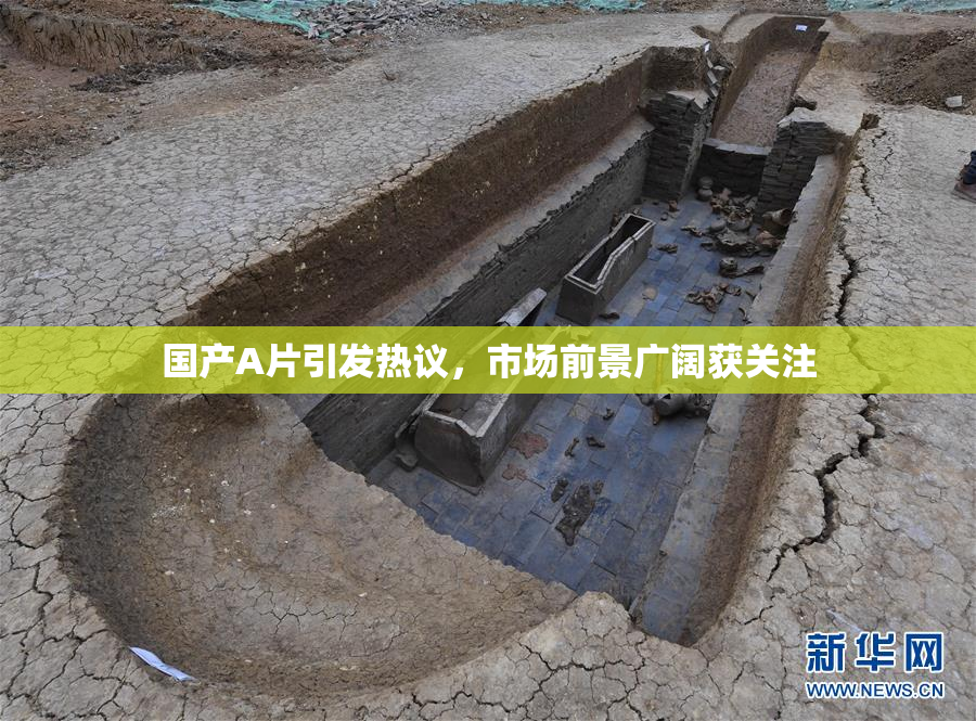 国产A片引发热议，市场前景广阔获关注