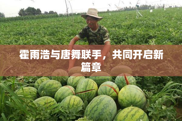 霍雨浩与唐舞联手，共同开启新篇章