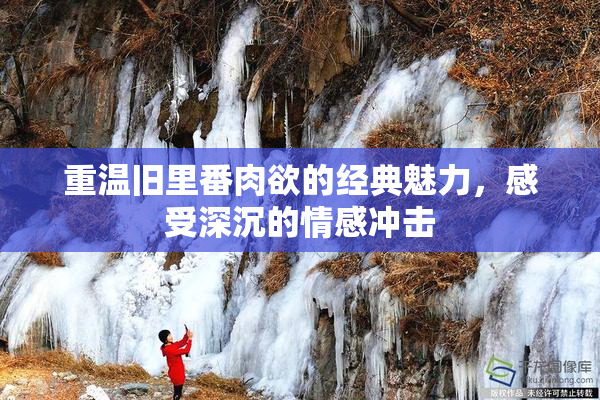 重温旧里番肉欲的经典魅力，感受深沉的情感冲击
