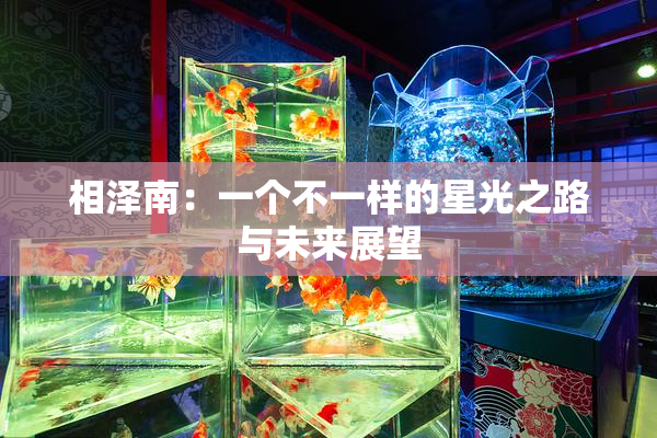 相泽南：一个不一样的星光之路与未来展望