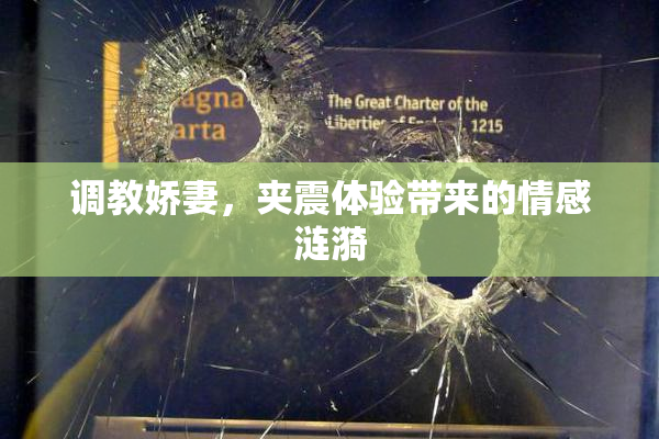 调教娇妻，夹震体验带来的情感涟漪