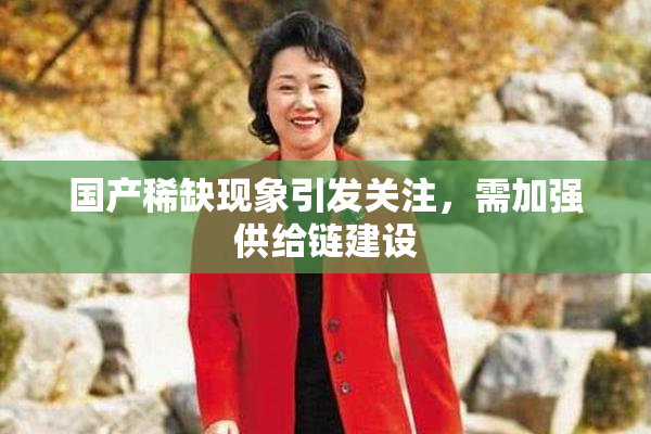 国产稀缺现象引发关注，需加强供给链建设