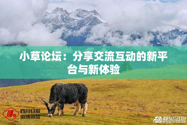 小草论坛：分享交流互动的新平台与新体验