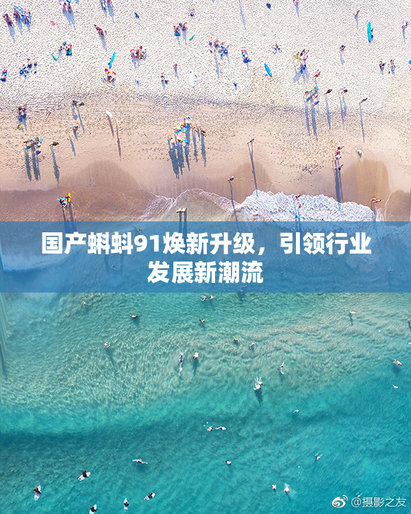 国产蝌蚪91焕新升级，引领行业发展新潮流