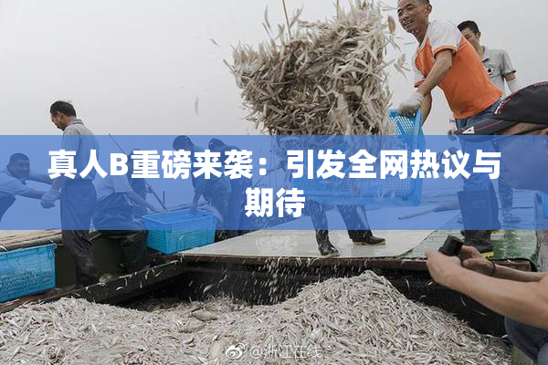 真人B重磅来袭：引发全网热议与期待