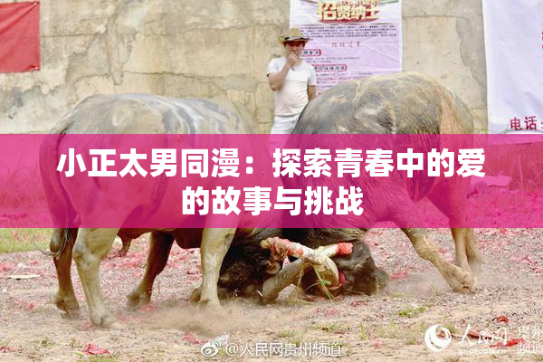 小正太男同漫：探索青春中的爱的故事与挑战