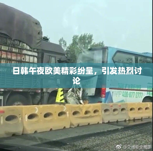 日韩午夜欧美精彩纷呈，引发热烈讨论