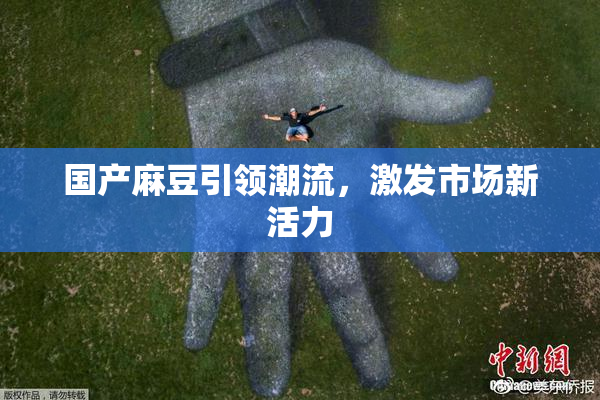 国产麻豆引领潮流，激发市场新活力