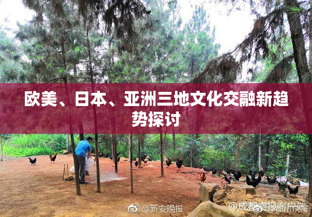 欧美、日本、亚洲三地文化交融新趋势探讨