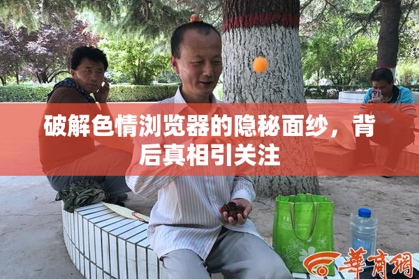破解色情浏览器的隐秘面纱，背后真相引关注