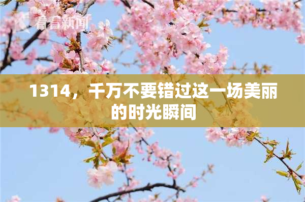 1314，千万不要错过这一场美丽的时光瞬间
