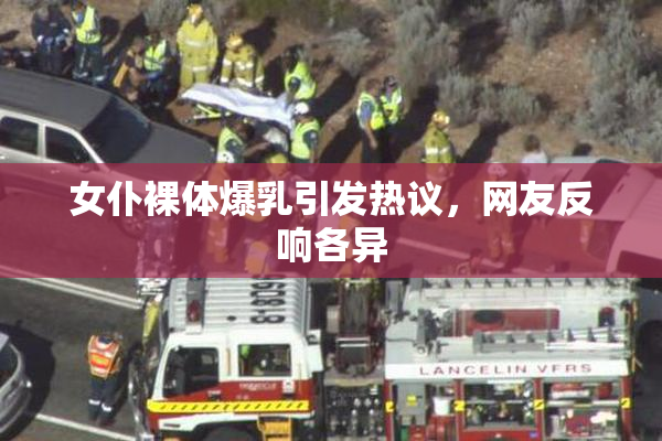 女仆裸体爆乳引发热议，网友反响各异