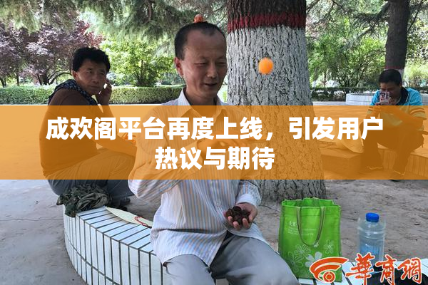 成欢阁平台再度上线，引发用户热议与期待