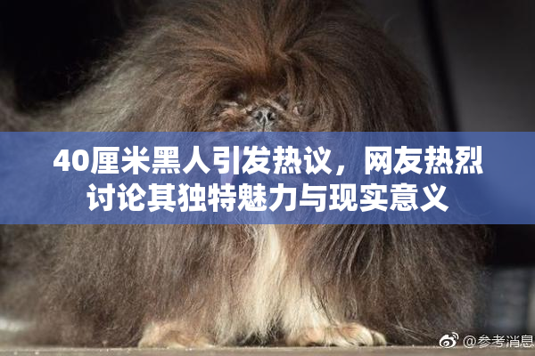 40厘米黑人引发热议，网友热烈讨论其独特魅力与现实意义