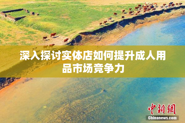 深入探讨实体店如何提升成人用品市场竞争力