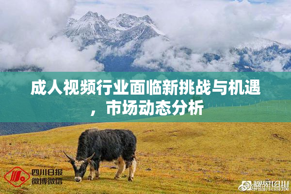 成人视频行业面临新挑战与机遇，市场动态分析