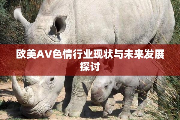 欧美AV色情行业现状与未来发展探讨
