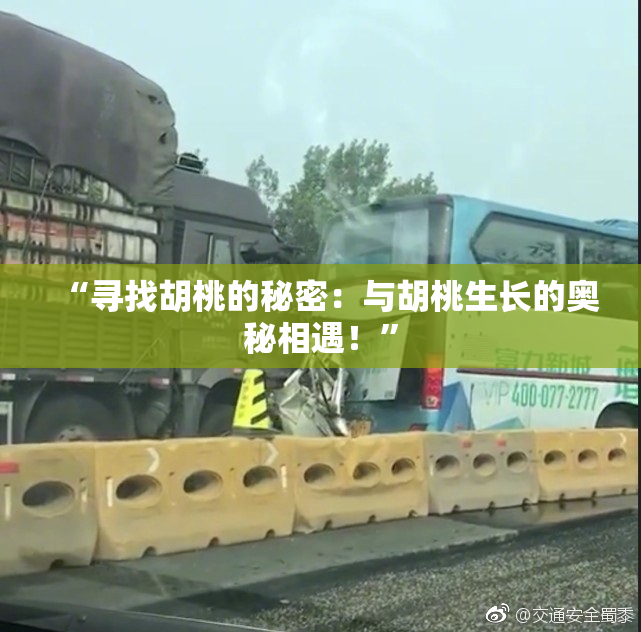 “寻找胡桃的秘密：与胡桃生长的奥秘相遇！”