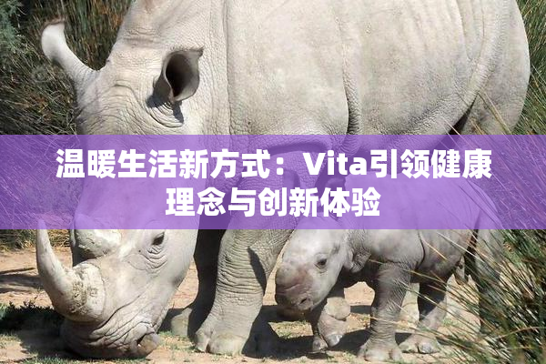 温暖生活新方式：Vita引领健康理念与创新体验