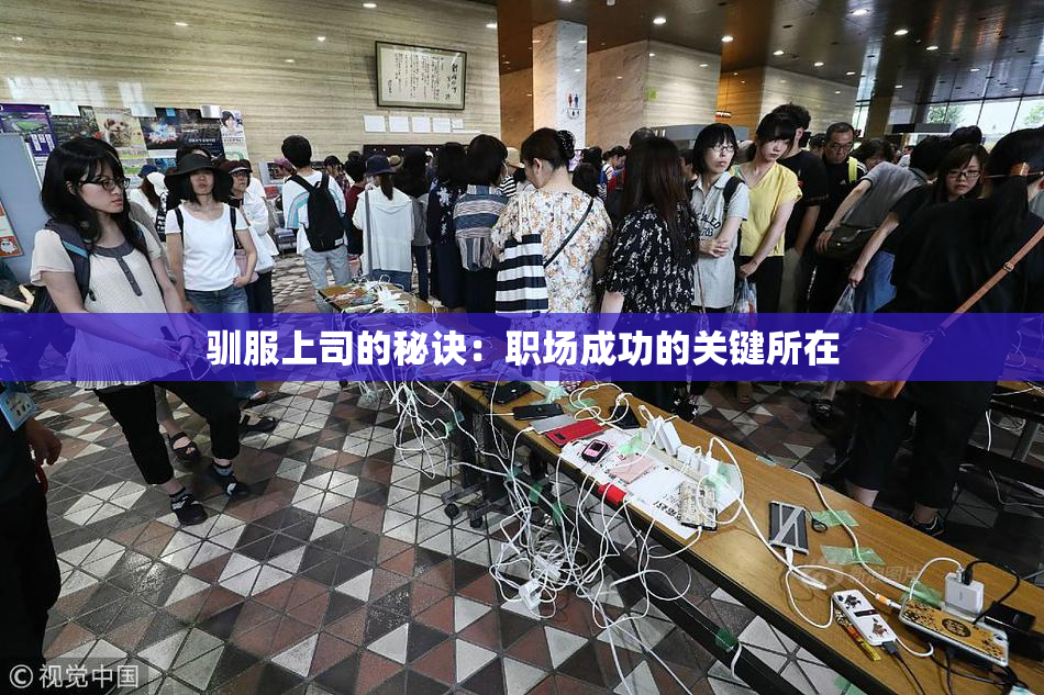 驯服上司的秘诀：职场成功的关键所在