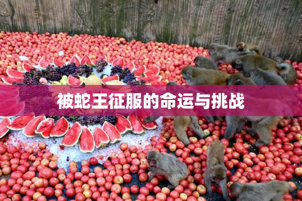 被蛇王征服的命运与挑战