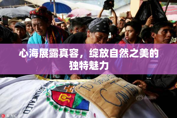 心海展露真容，绽放自然之美的独特魅力