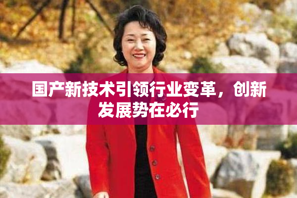 国产新技术引领行业变革，创新发展势在必行