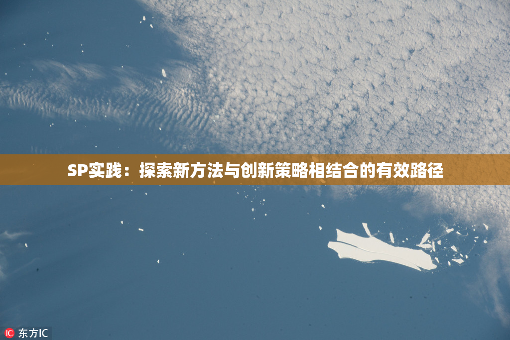 SP实践：探索新方法与创新策略相结合的有效路径