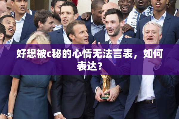 好想被c秘的心情无法言表，如何表达？