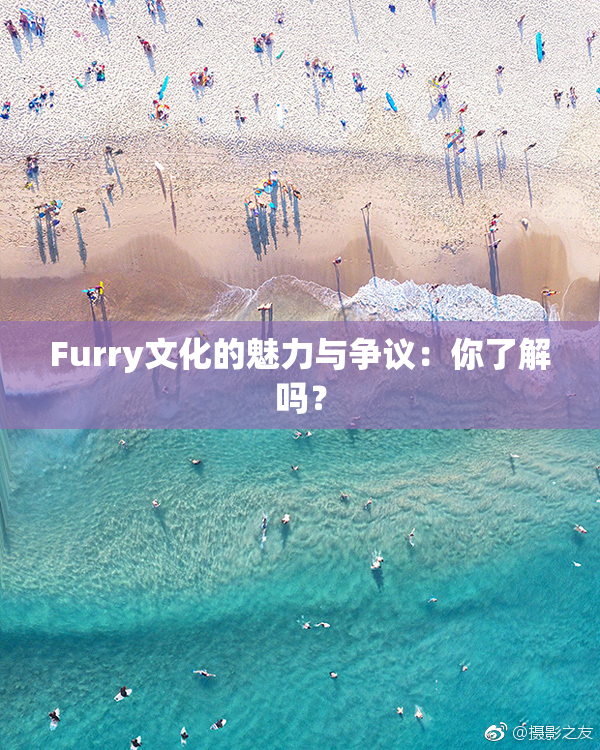 Furry文化的魅力与争议：你了解吗？