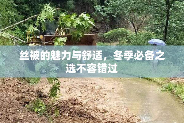 丝被的魅力与舒适，冬季必备之选不容错过