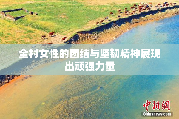 全村女性的团结与坚韧精神展现出顽强力量