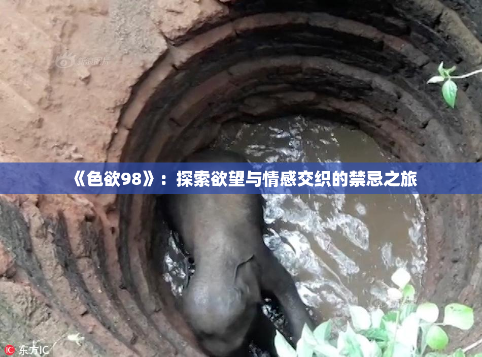 《色欲98》：探索欲望与情感交织的禁忌之旅