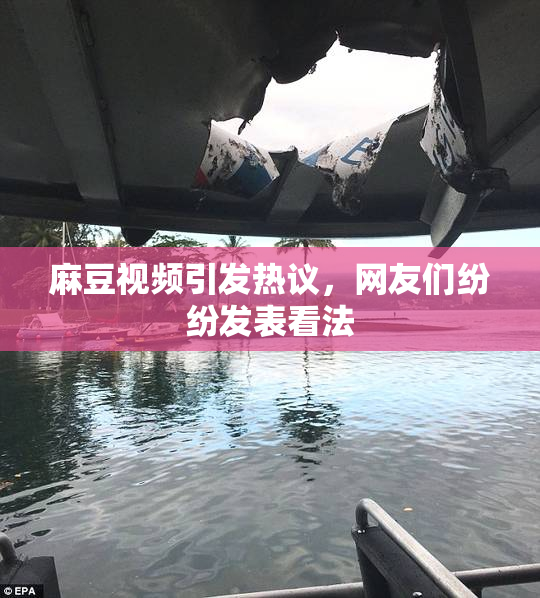 麻豆视频引发热议，网友们纷纷发表看法
