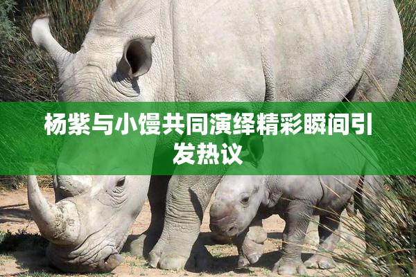 杨紫与小馒共同演绎精彩瞬间引发热议