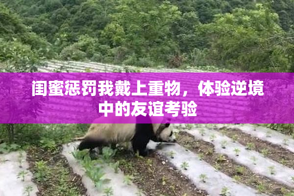 闺蜜惩罚我戴上重物，体验逆境中的友谊考验