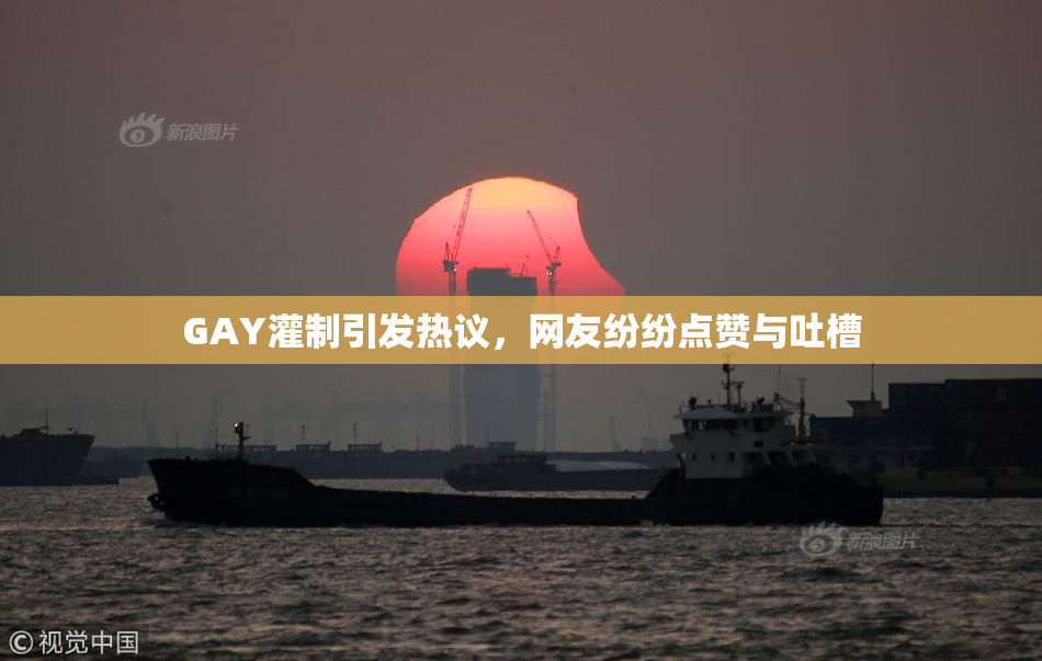 GAY灌制引发热议，网友纷纷点赞与吐槽