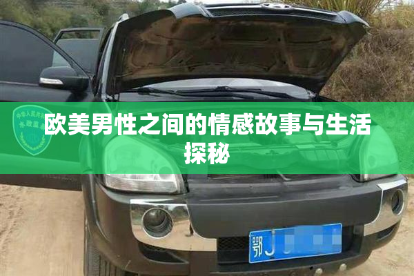 欧美男性之间的情感故事与生活探秘