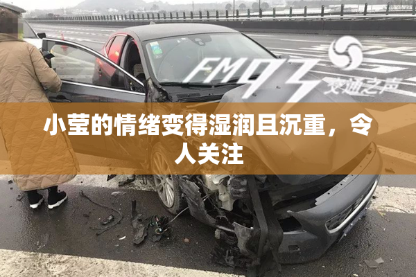 小莹的情绪变得湿润且沉重，令人关注