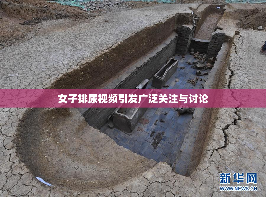 女子排尿视频引发广泛关注与讨论