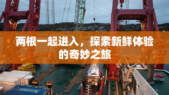 两根一起进入，探索新鲜体验的奇妙之旅